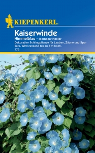 Kiepenkerl-Kaiserwinde-Himmelblau