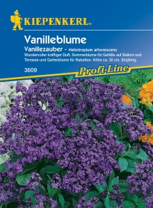 Kiepenkerl-Vanilleblume-Vanillezauber