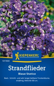 Kiepenkerl-Strandflieder-Statice