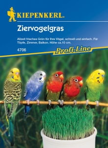 Kiepenkerl-Ziervogelgras-30-Gramm-Aussaat-ganzjhrig