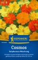 Bild 1 von Kiepenkerl Cosmos Sulphureus Mischung