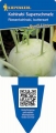 Bild 3 von Kiepenkerl Kohlrabi Superschmelz